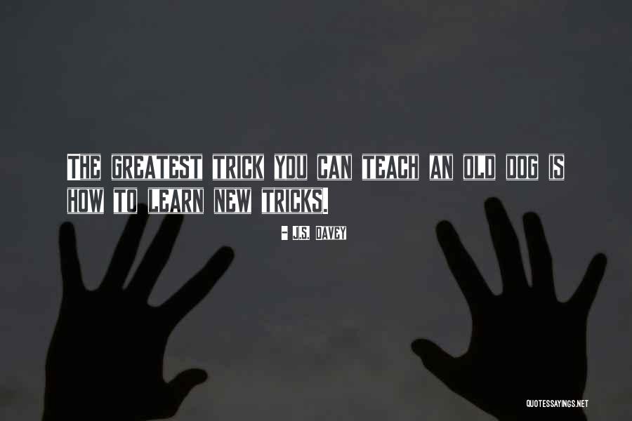 Can't Teach Old Dog New Tricks Quotes By J.S. Davey