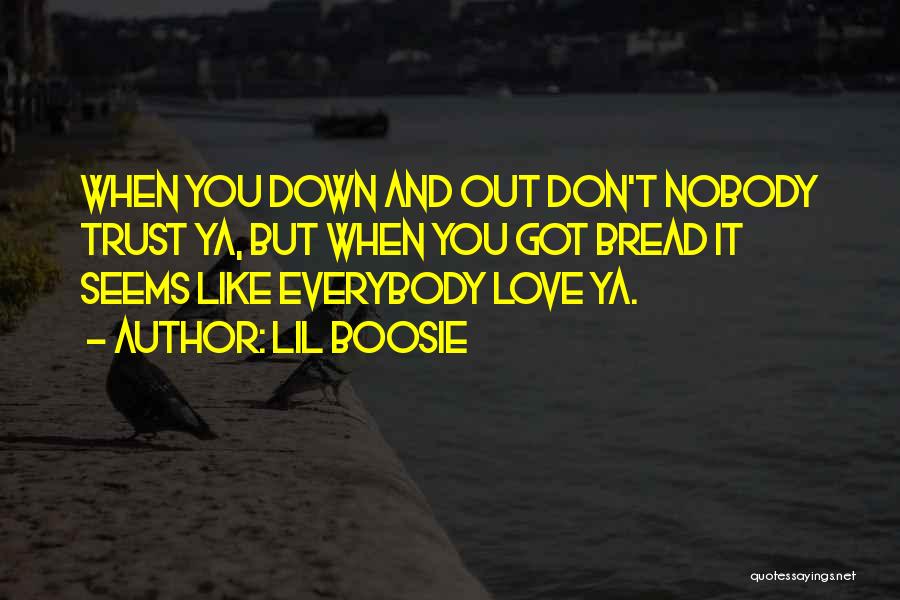 Can't Trust Everybody Quotes By Lil Boosie