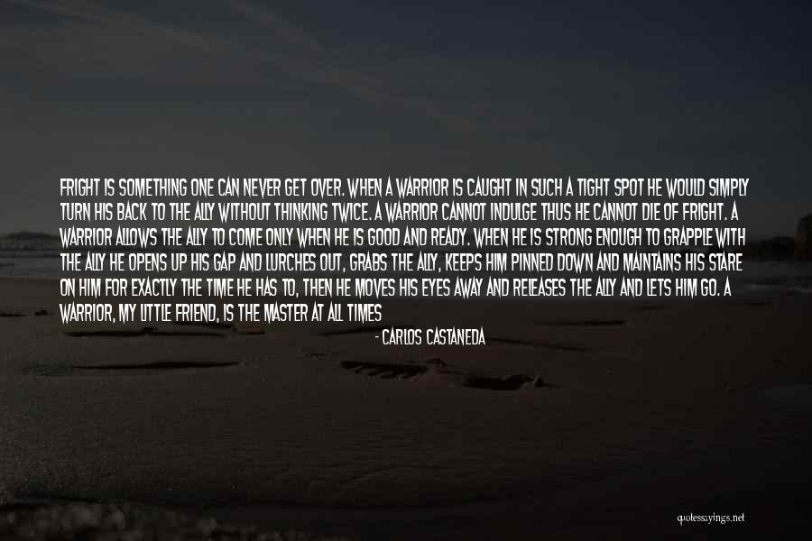 Can't Turn Back Time Quotes By Carlos Castaneda