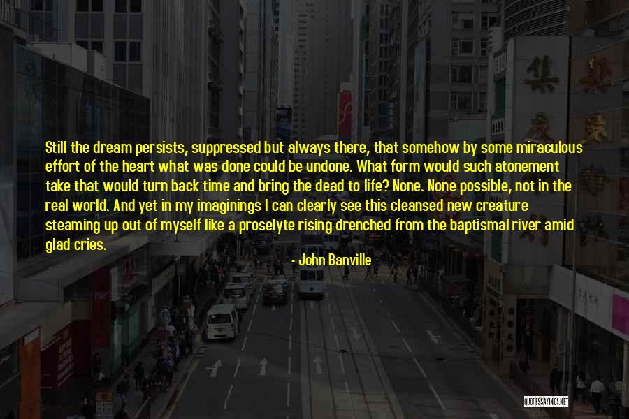 Can't Turn Back Time Quotes By John Banville