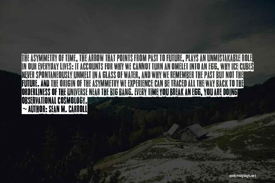 Can't Turn Back Time Quotes By Sean M. Carroll