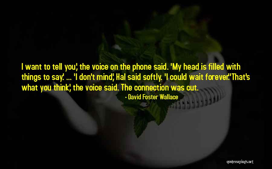 Can't Wait To Be With You Forever Quotes By David Foster Wallace Can't Wait To Be With You Forever Quotes By David Foster Wallace