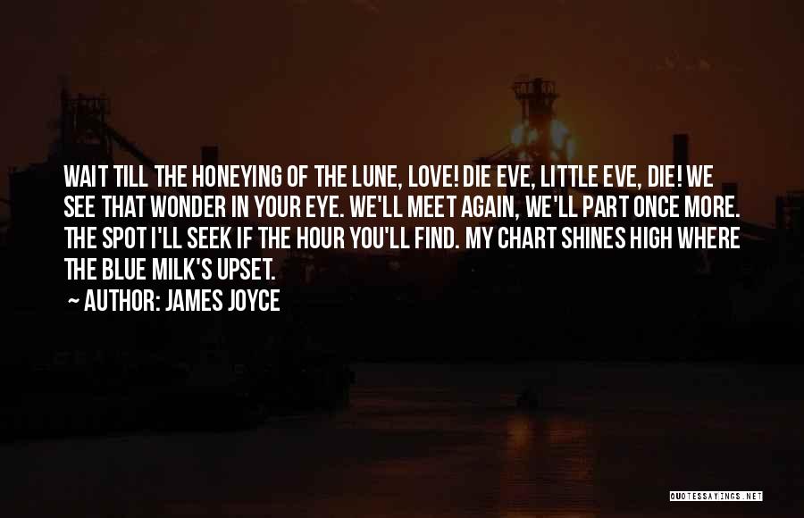 Can't Wait To Find Love Quotes By James Joyce