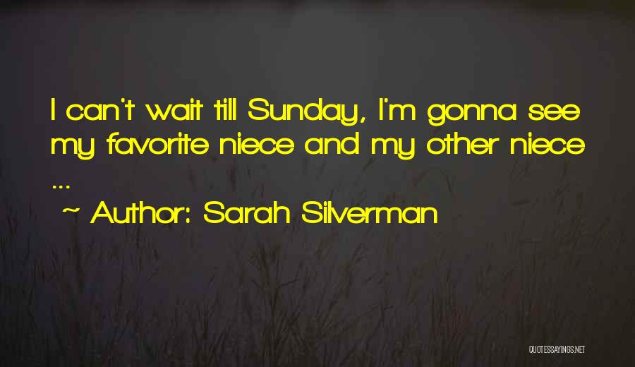 Can't Wait To See You Funny Quotes By Sarah Silverman