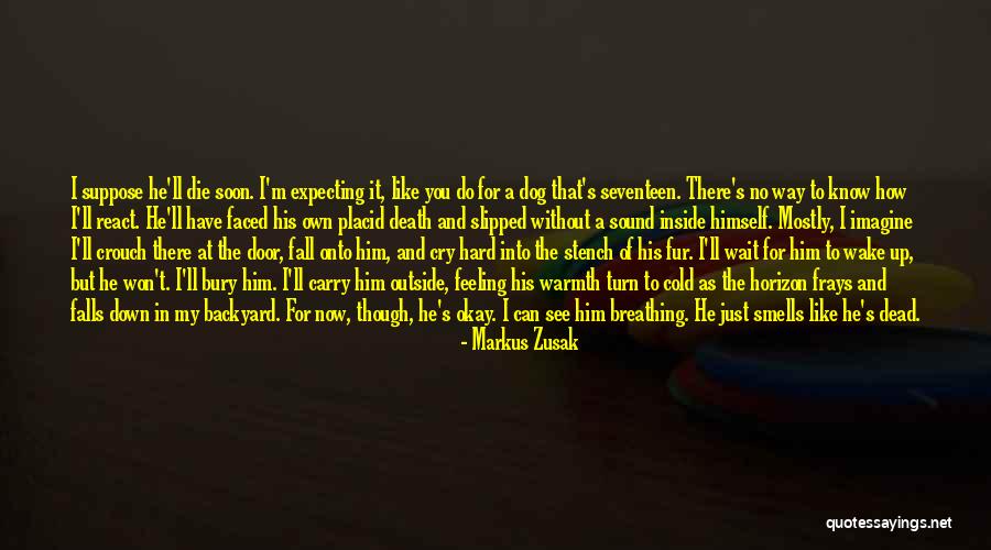 Can't Wait To See You Quotes By Markus Zusak Can't Wait To See You Quotes By Markus Zusak
