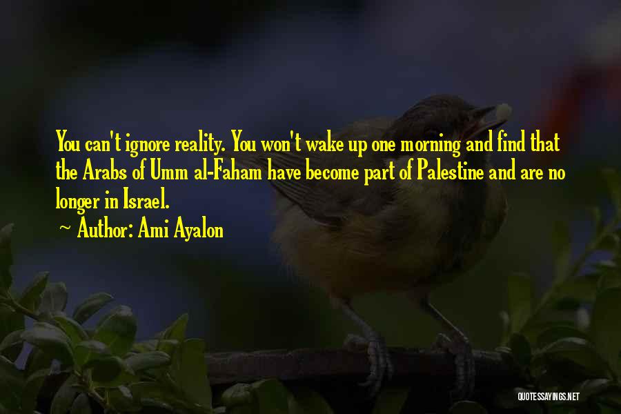 Can't Wake Up In The Morning Quotes By Ami Ayalon