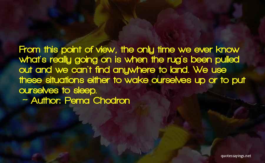 Can't Wake Up Quotes By Pema Chodron