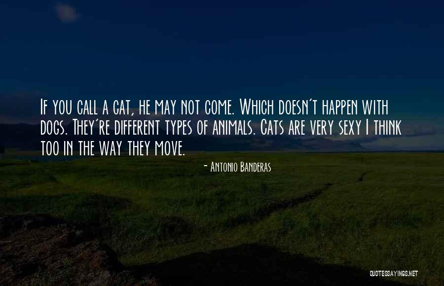 Cantona The King Quotes By Antonio Banderas Cantona The King Quotes By Antonio Banderas