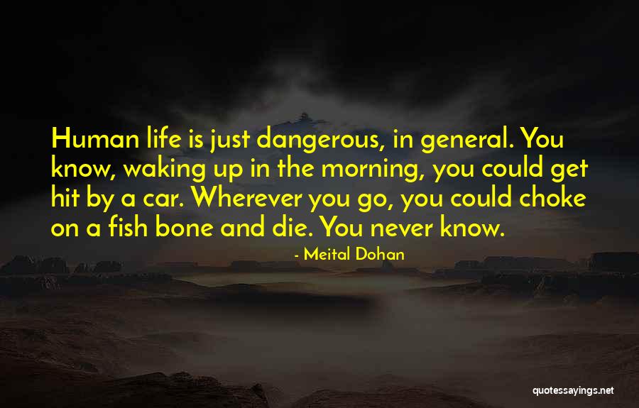 Cantonal Quotes By Meital Dohan Cantonal Quotes By Meital Dohan