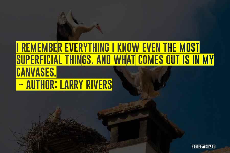 Canvases Quotes By Larry Rivers