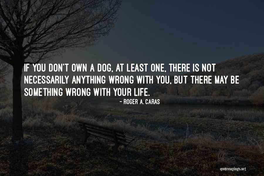 Canvasses Or Canvases Quotes By Roger A. Caras Canvasses Or Canvases Quotes By Roger A. Caras