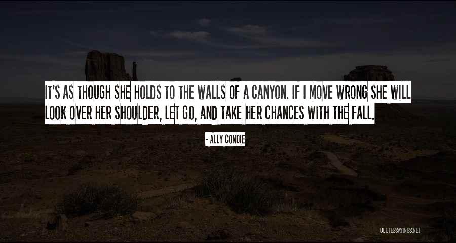 Canyon The Quotes By Ally Condie Canyon The Quotes By Ally Condie