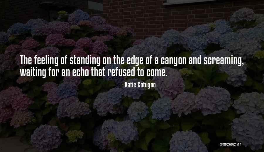 Canyon The Quotes By Katie Cotugno Canyon The Quotes By Katie Cotugno