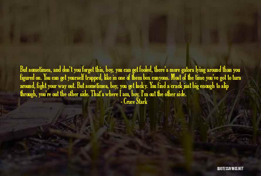 Canyons Quotes By Cruce Stark Canyons Quotes By Cruce Stark