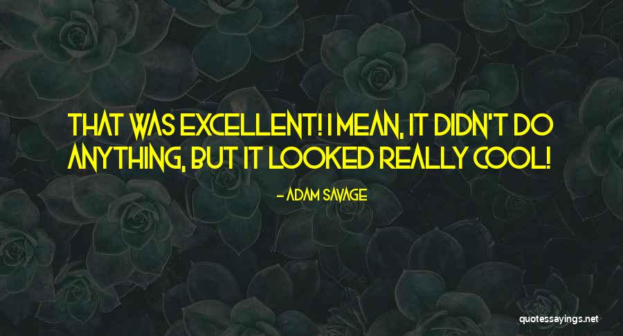 Cap City Half Marathon Quotes By Adam Savage