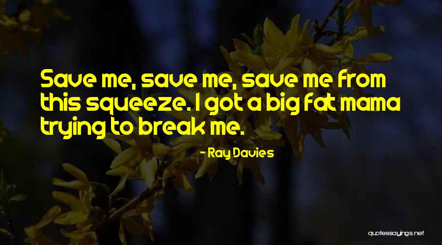 Capacious In A Sentence Quotes By Ray Davies