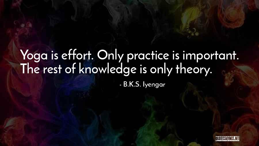Capacitado En Quotes By B.K.S. Iyengar Capacitado En Quotes By B.K.S. Iyengar