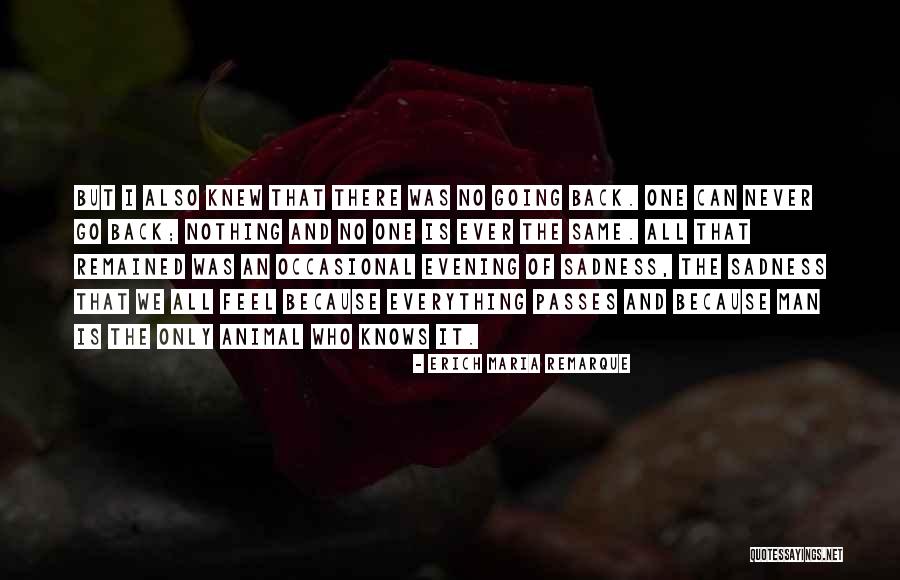 Capacitate Fundacion Quotes By Erich Maria Remarque Capacitate Fundacion Quotes By Erich Maria Remarque