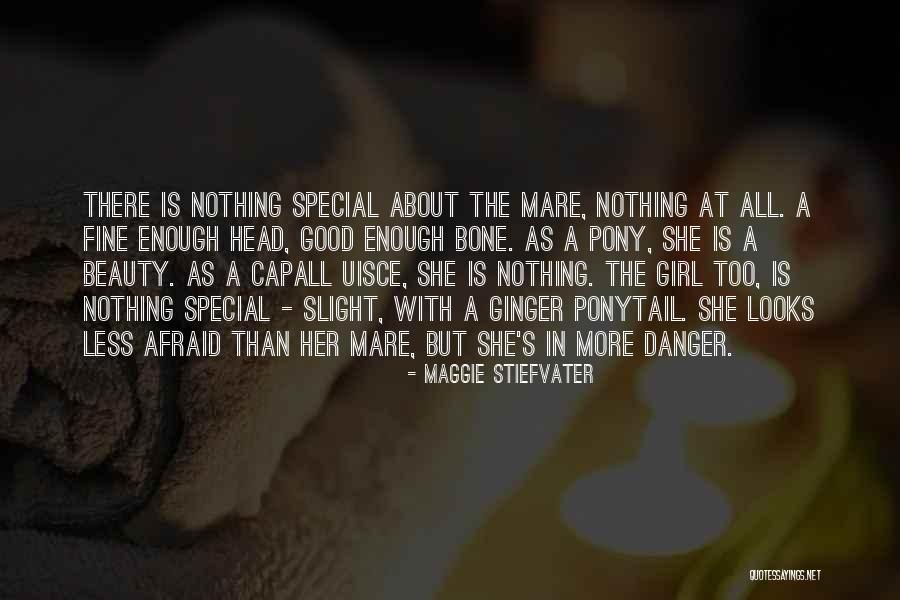 Capall Quotes By Maggie Stiefvater Capall Quotes By Maggie Stiefvater