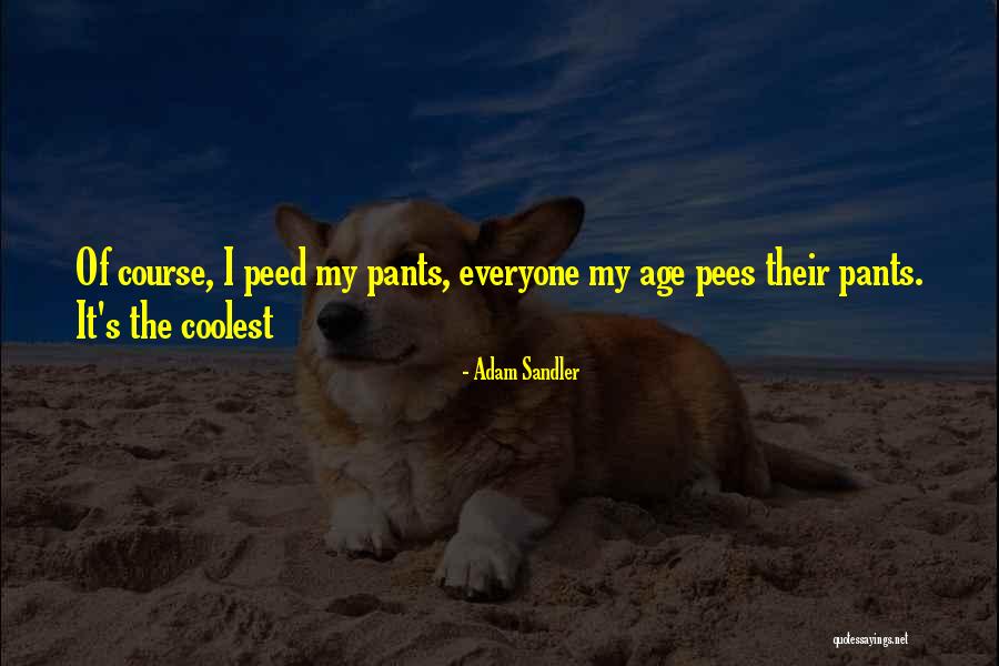 Capanemainfo Quotes By Adam Sandler Capanemainfo Quotes By Adam Sandler