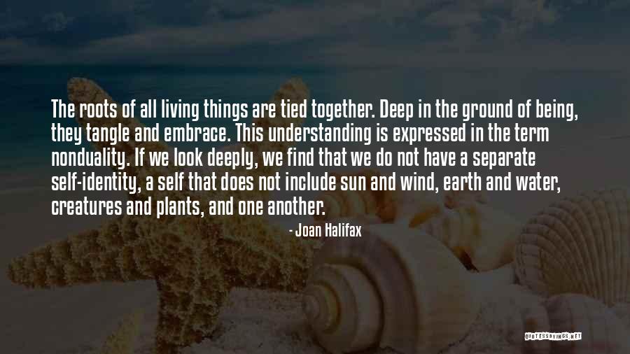 Capangpangan Recipes Quotes By Joan Halifax Capangpangan Recipes Quotes By Joan Halifax