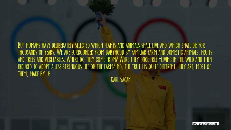 Caparella Restaurant Quotes By Carl Sagan Caparella Restaurant Quotes By Carl Sagan