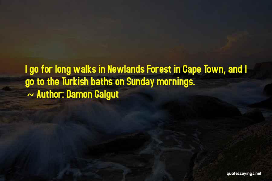 Cape Town Quotes By Damon Galgut