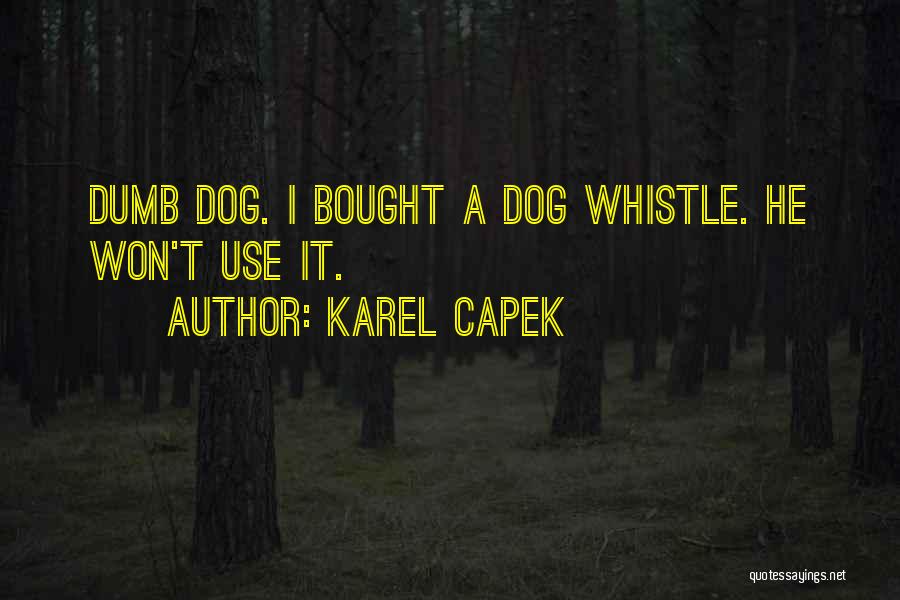 Capek Quotes By Karel Capek