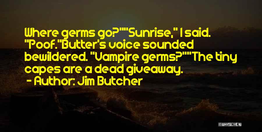Capes Quotes By Jim Butcher