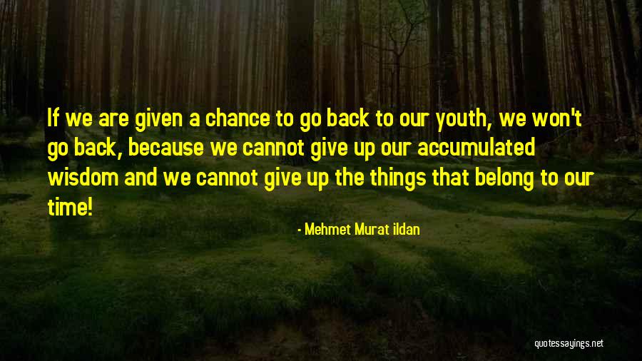 Capillaries Quotes By Mehmet Murat Ildan Capillaries Quotes By Mehmet Murat Ildan