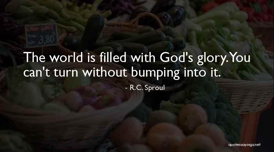Capillaries Quotes By R.C. Sproul Capillaries Quotes By R.C. Sproul