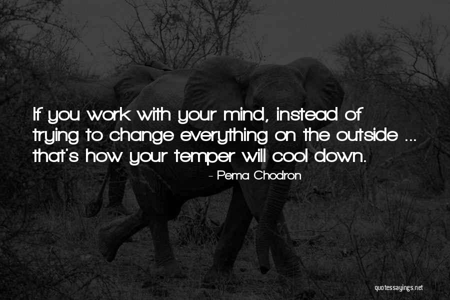 Capillos Barber Quotes By Pema Chodron Capillos Barber Quotes By Pema Chodron