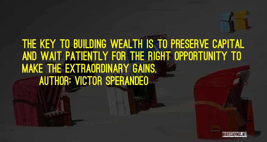 Capital Gains Quotes By Victor Sperandeo