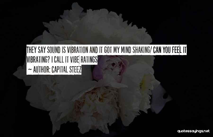 Capital STEEZ Quotes 1138550