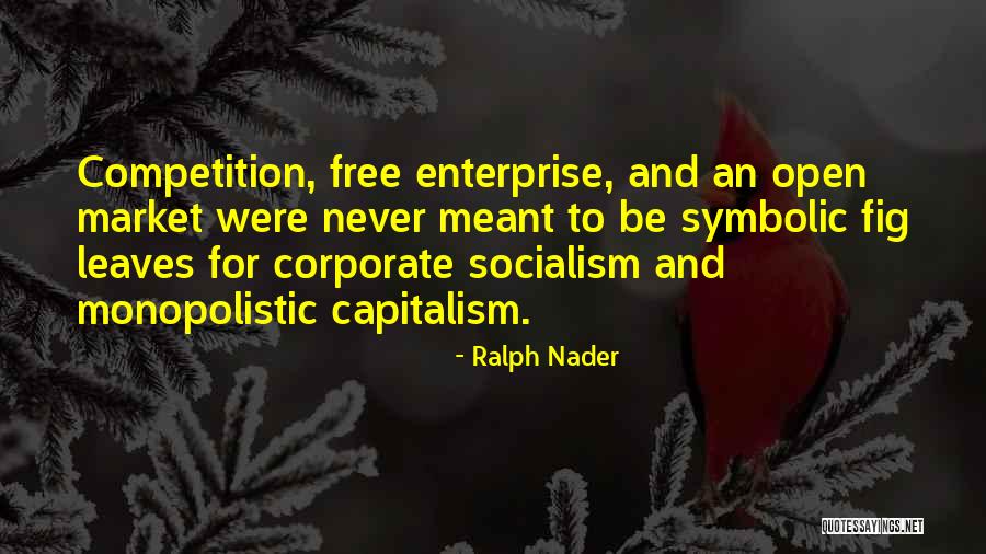 Capitalism And Socialism Quotes By Ralph Nader Capitalism And Socialism Quotes By Ralph Nader
