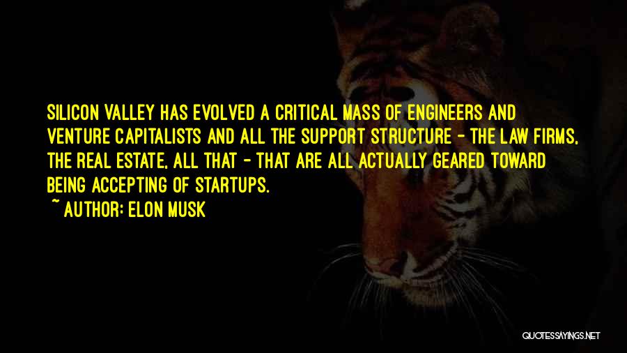 Capitalists Quotes By Elon Musk