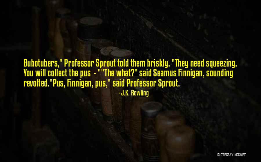 Capitalization With Quotes By J.K. Rowling Capitalization With Quotes By J.K. Rowling