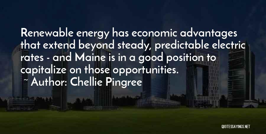 Capitalize On Opportunities Quotes By Chellie Pingree
