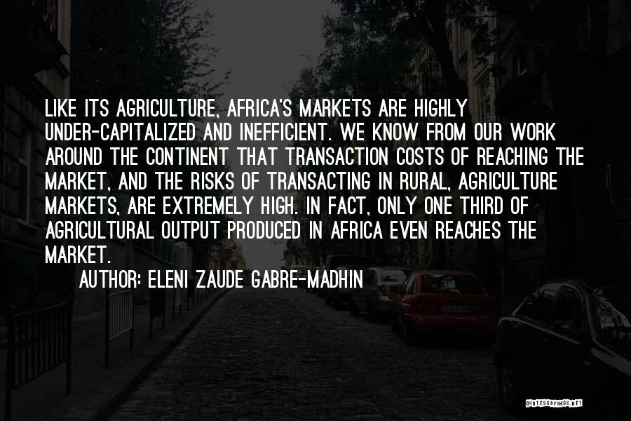 Capitalized Quotes By Eleni Zaude Gabre-Madhin
