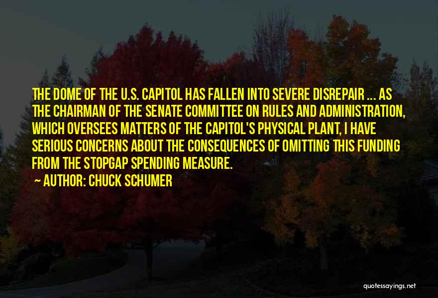 Capitol Quotes By Chuck Schumer