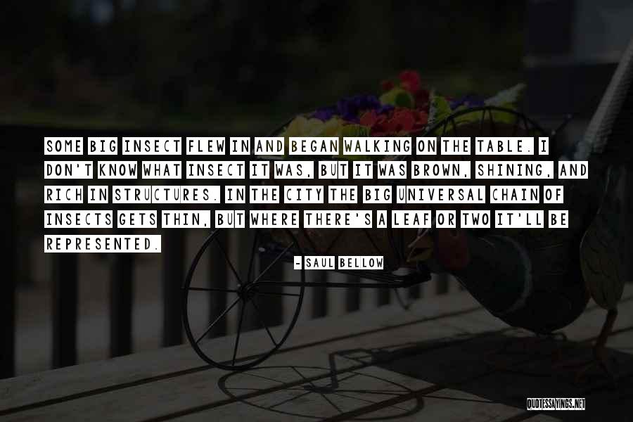 Caporusso Eric Dr Quotes By Saul Bellow Caporusso Eric Dr Quotes By Saul Bellow