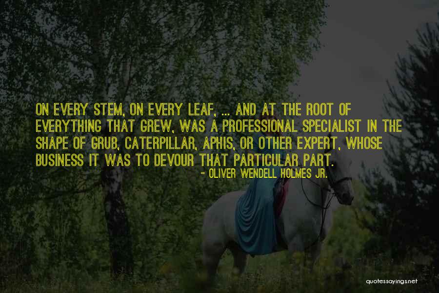 Capovilla Grappa Quotes By Oliver Wendell Holmes Jr. Capovilla Grappa Quotes By Oliver Wendell Holmes Jr.