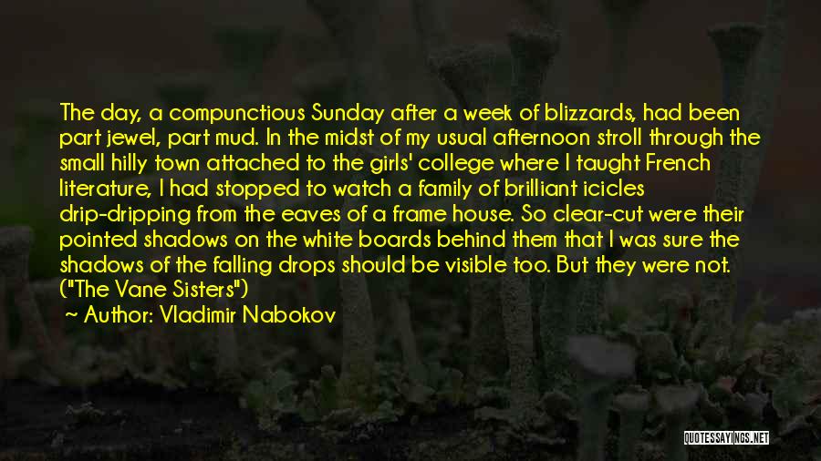 Capparella Romagnola Quotes By Vladimir Nabokov