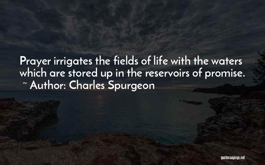 Capparellis Pizza Quotes By Charles Spurgeon