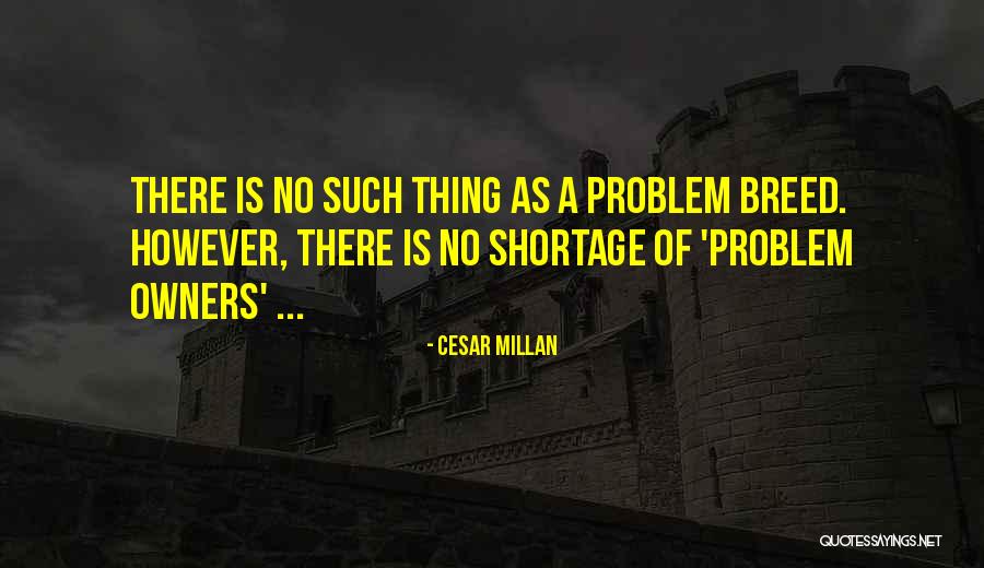 Cappotto Montgomery Quotes By Cesar Millan Cappotto Montgomery Quotes By Cesar Millan