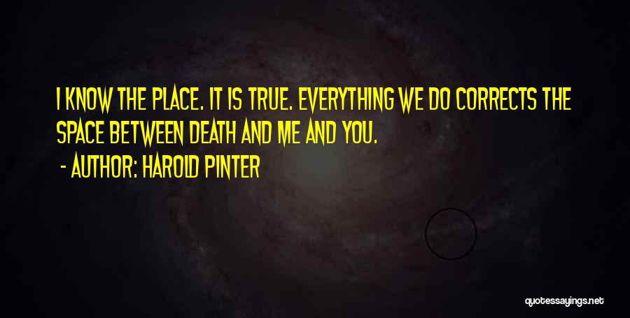 Cappuccinos Knoxville Quotes By Harold Pinter