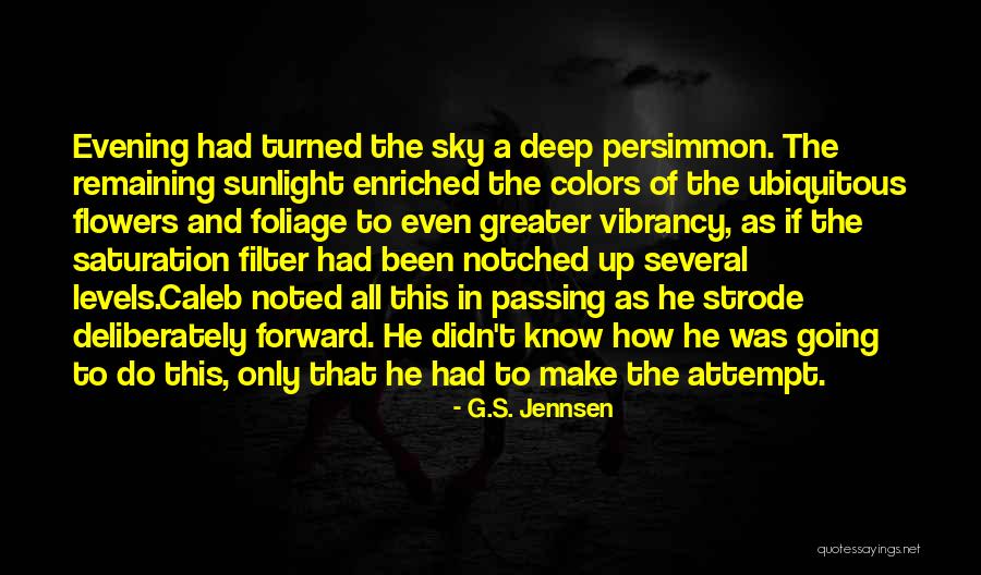 Cappuccinos Ofallon Quotes By G.S. Jennsen Cappuccinos Ofallon Quotes By G.S. Jennsen