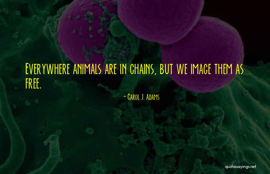 Capriani Quotes By Carol J. Adams Capriani Quotes By Carol J. Adams