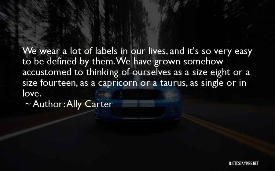 Capricorn Quotes By Ally Carter