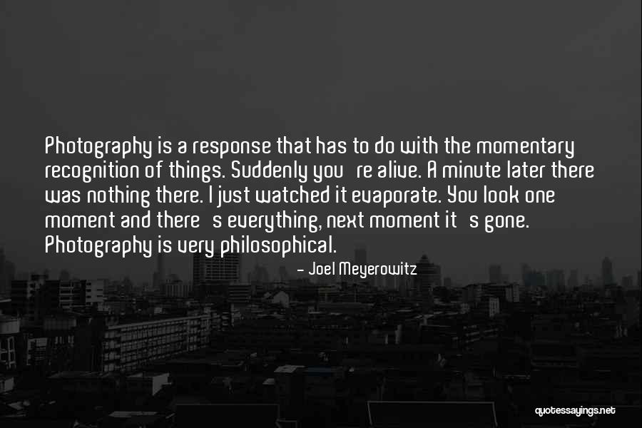 Caprioara Informatii Quotes By Joel Meyerowitz Caprioara Informatii Quotes By Joel Meyerowitz